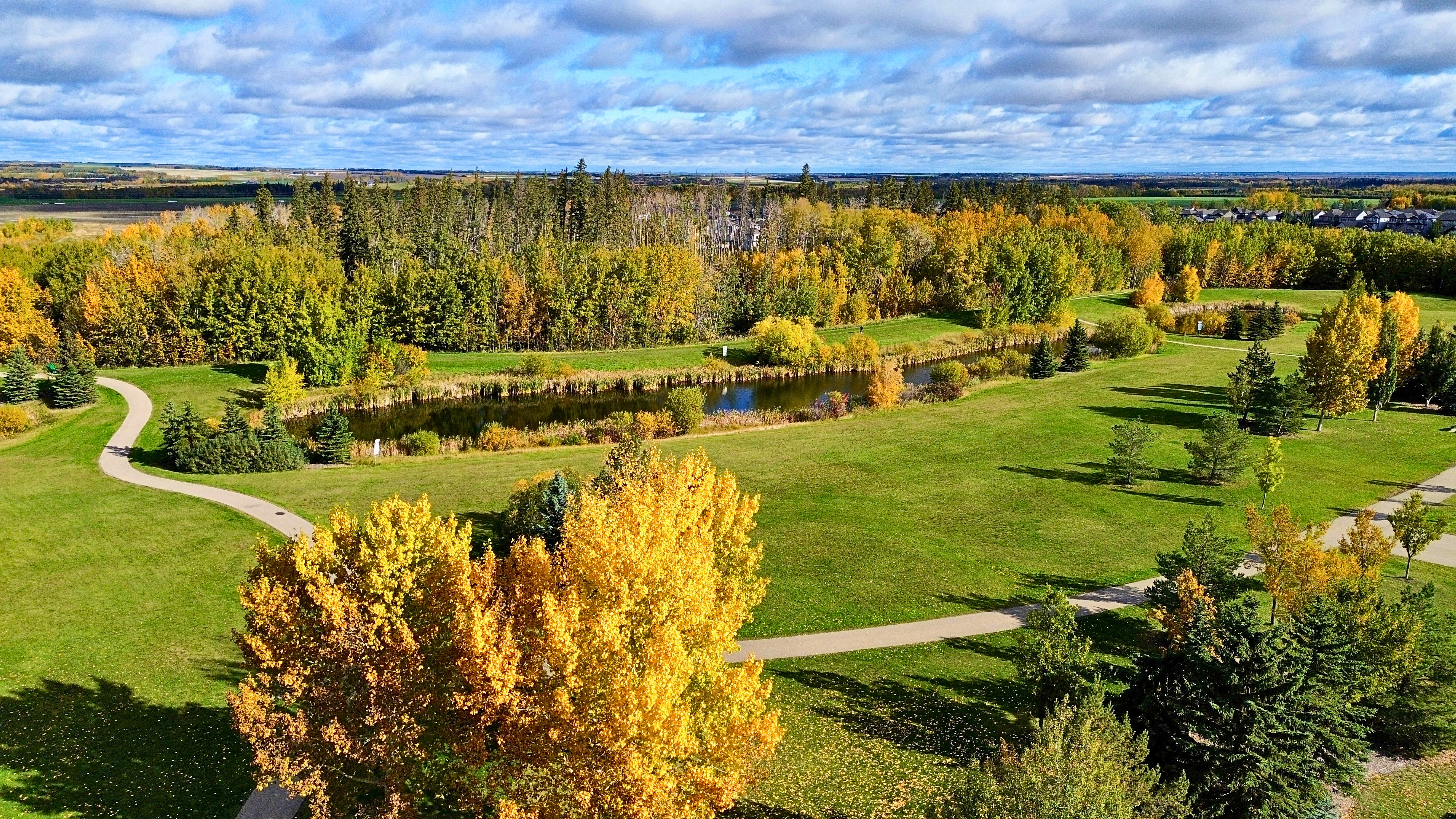 Jubilee Park Fall