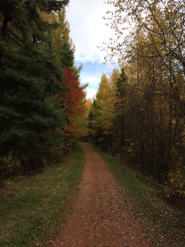 Heritage Grove Park - Fall