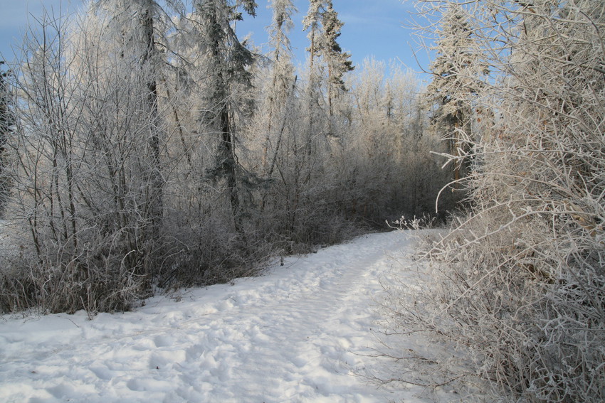 Heritage Grove Park - Winter