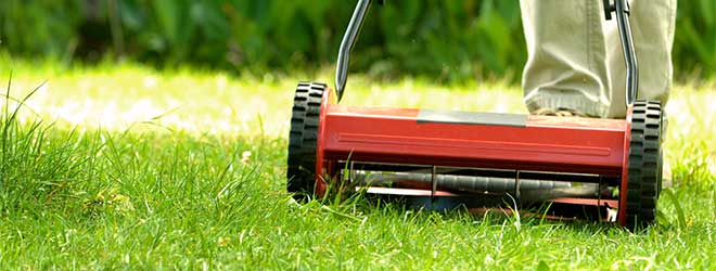 Nine Ways to Reduce Your Summer Water Bill