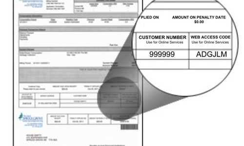 Utility Bill Customer ID Example