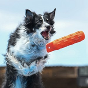 West Central Waterdogs Competition