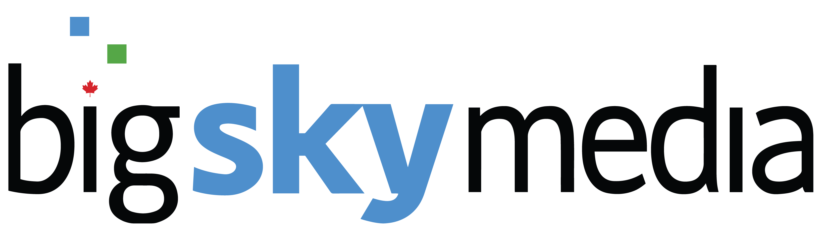 Big Sky Media