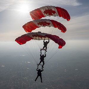 Canadian Forces SkyHawks performance