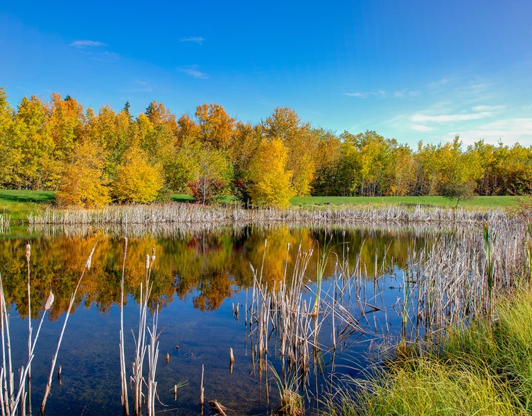 Jubilee Park in the Fall