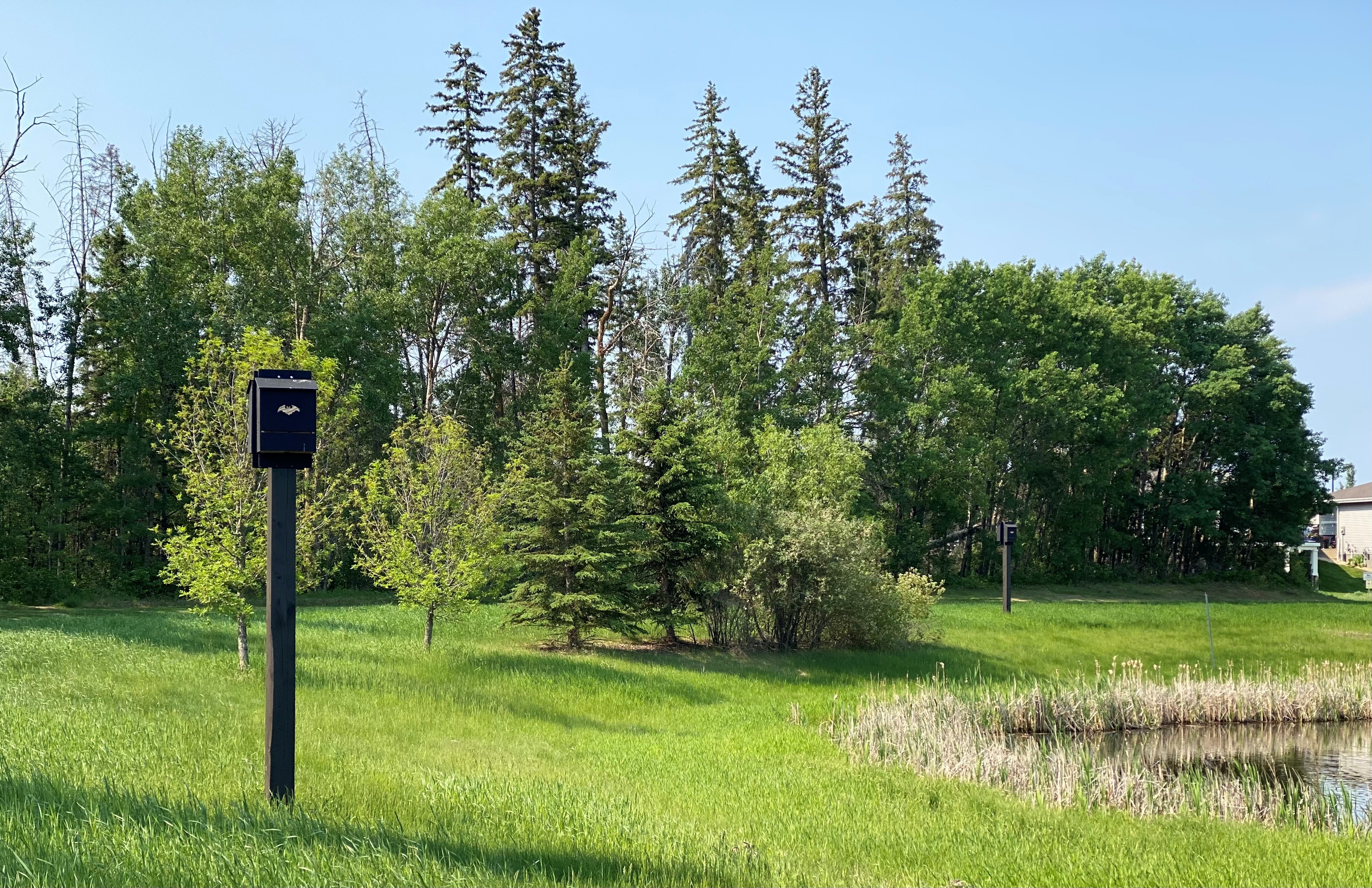 Bat House Heatherglen 8