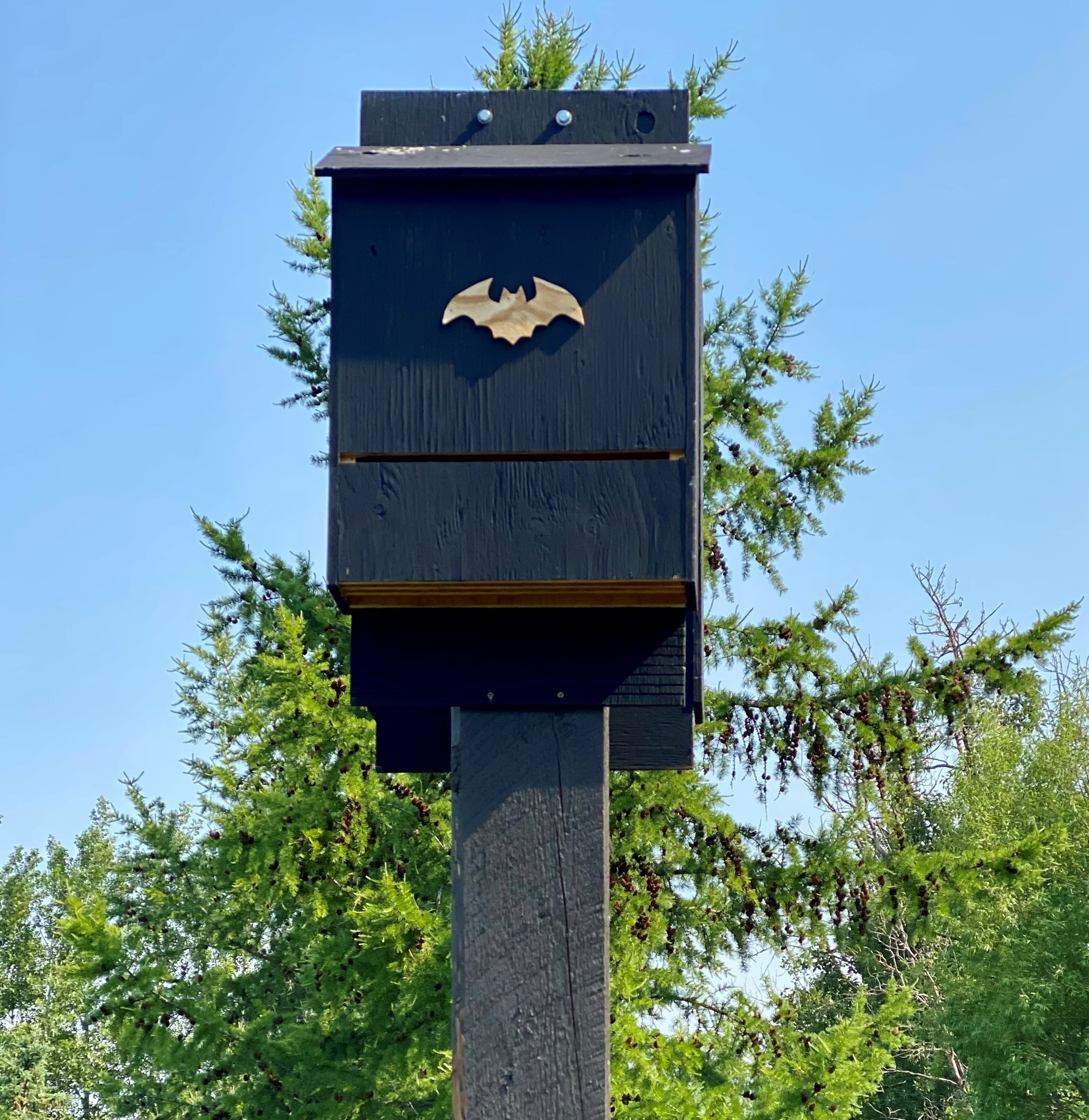 Bat House Heatherglen 7