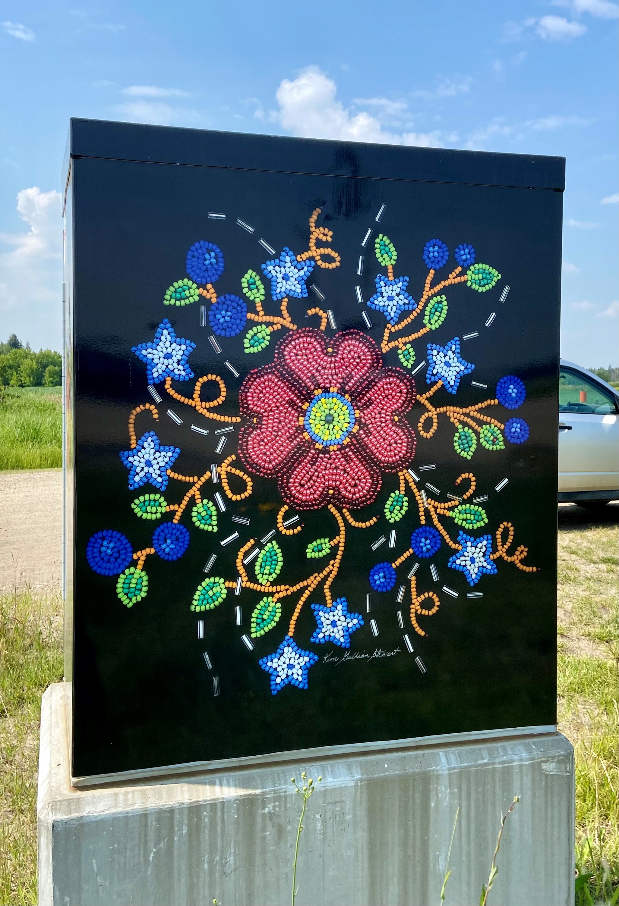 Kim Stewart - Metis Prairie Garden