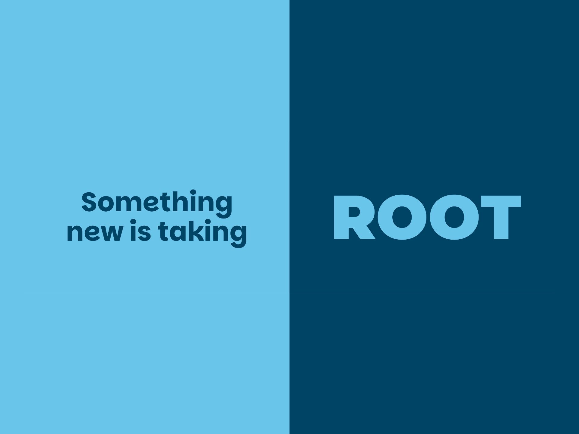 Root Banner
