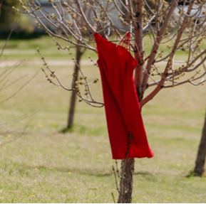 Red Dress Day